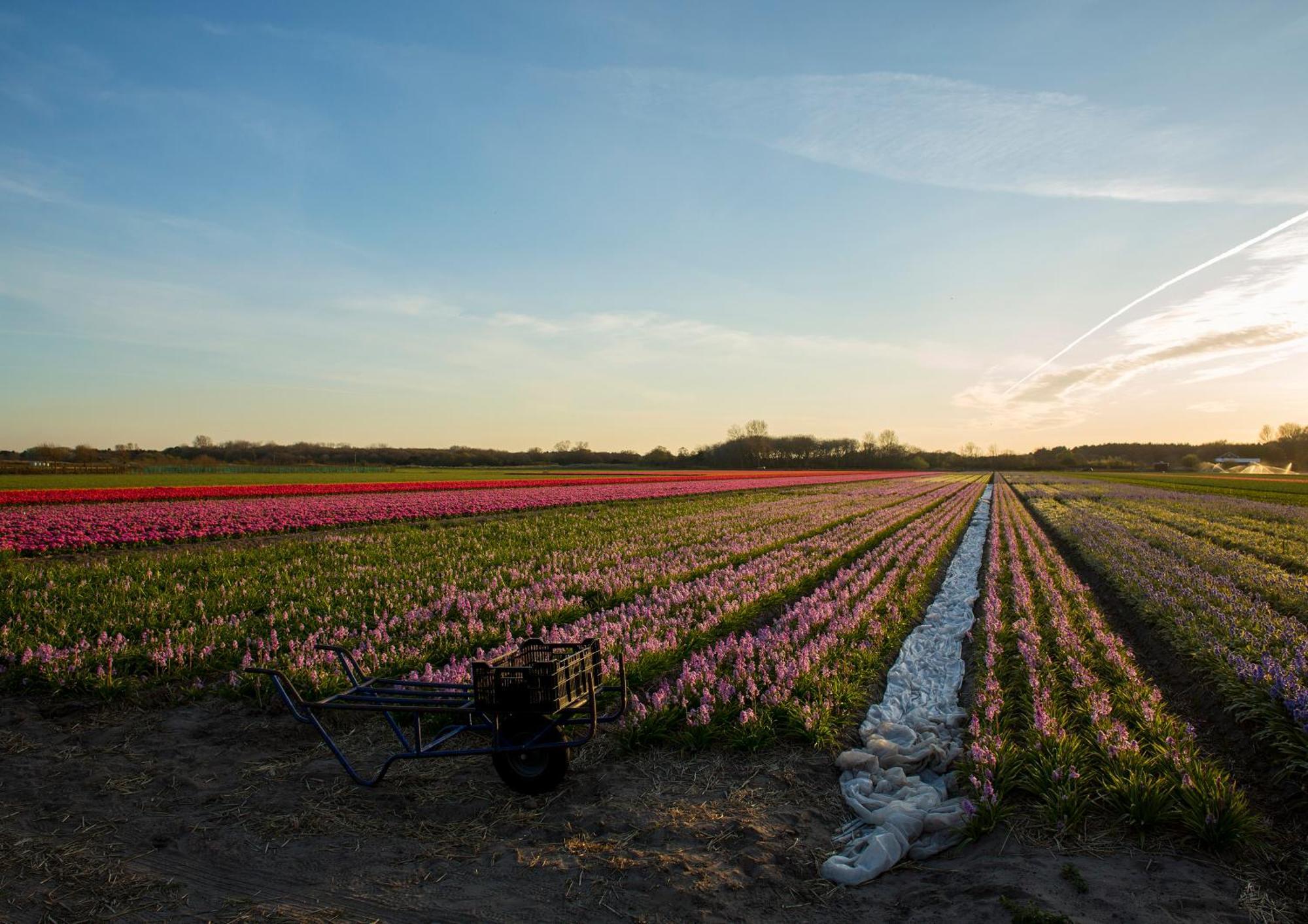 Dw Castricum Hotel ภายนอก รูปภาพ